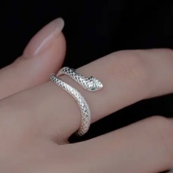 2-Piece Snake Ring Set – Adjustable & Stylish - Picture 3 of 9